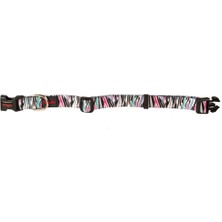 E - Petmama Tasma Medium