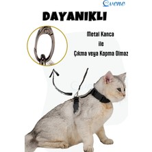 Evene Kedi Tasması Kedi Gögüs Bel Ayarlanabilir Tasma Siyah
