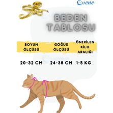 Evene Kedi Tasması Kedi Gögüs Bel Ayarlanabilir Tasma Siyah