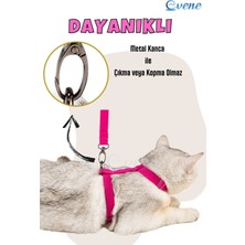 Evene Kedi Tasması Kedi Gögüs Bel Ayarlanabilir Tasma Pembe