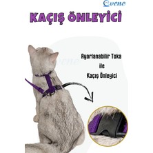 Evene Kedi Tasması Kedi Gögüs Bel Ayarlanabilir Tasma Mor