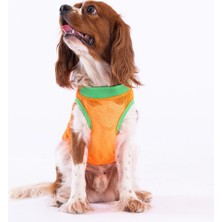 Pawstar Cactus Mesh Kedi Köpek Tişörtü - Kedi Köpek Kıyafeti 2xlarge