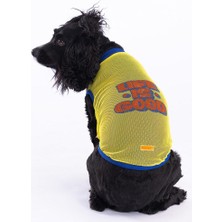 Pawstar Life Mesh Kedi Köpek Tişörtü - Kedi Köpek Kıyafeti Large