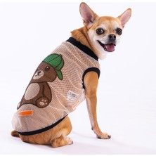 Pawstar Bear Mesh Kedi Köpek Tişörtü - Kedi Köpek Kıyafeti Xlarge