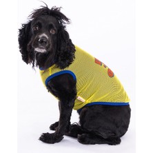 Pawstar Life Mesh Kedi Köpek Tişörtü - Kedi Köpek Kıyafeti Medium