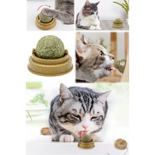 Utelips Eğlenceli Sağlıklı Deli Dilleme Topu Oyuncağı Kedi Nanesi Mint Oyun Topu Yapıştırılabilir Diş Kaşıma