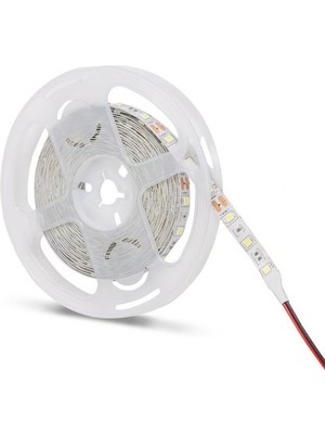 Noas 12 Volt 4040 İç Mekan Şerit LED 3200K Günışığı - 5 Metre Paket