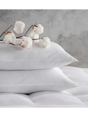 Nakkısh Microfiber Boncuk Silikon 2 Adet Yastık