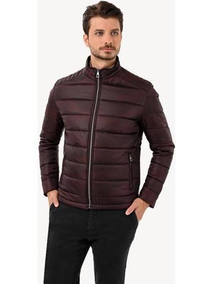 Erkek Bordo Regular Fit Kaban