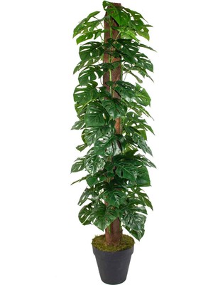 Güleç Yapay Çiçek Yapay Ağaç Deve Tabanı (Monstera) 150 cm