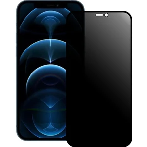 iPhone 12 Pro Max Esd Anti Static Hayalet Privacy Cam Ekran Koruyucu