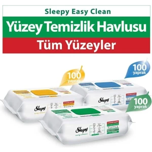 Easy Clean Beyaz Sabun Katkılı+Çamaşır Suyu Katkılı+Arap Sabunu Katkılı 3X100 (300 Yaprak)