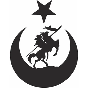Reysa Tasarım Akıncı ve Ay Yıldız Türk Bayrağı Araba Sticker Siyah 15X20 cm