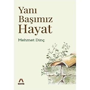 Yanı Başımız Hayat - Mehmet Dinç