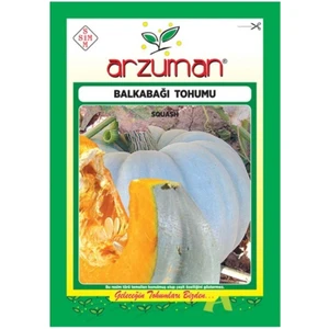 Arıcan 97 Balkabağı Tohumu