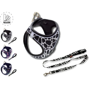 Air Mesh 2'li Bundle Set Kedi Köpek Göğüs Tasması + Köpek Gezdirme Tasması/kayışı