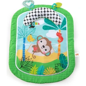 Bright Starts Bright Stars Bright Starts Basic Peluş Oyun Halısı