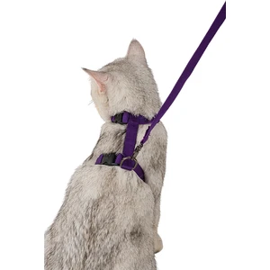 Kedi Tasması Kedi Gögüs Bel Ayarlanabilir Tasma Mor