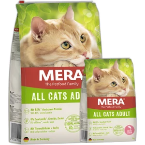 Grain Free Salmon Cat Food Tahılsız Taze Somon Balıklı Kedi Maması 10 kg + 2 kg Kampanya