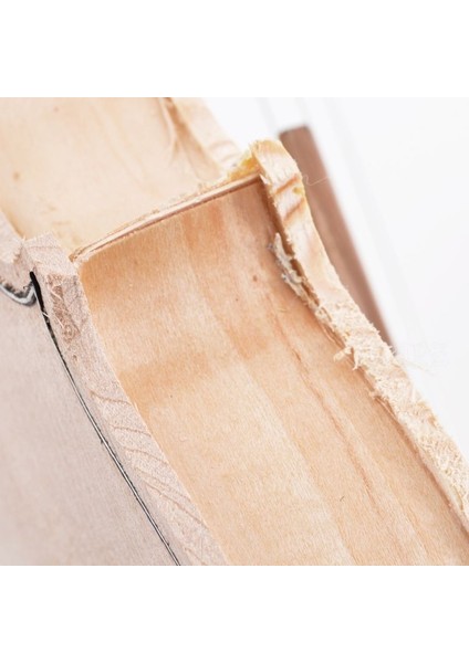 Keman 4/4 DV44PLN modelleri