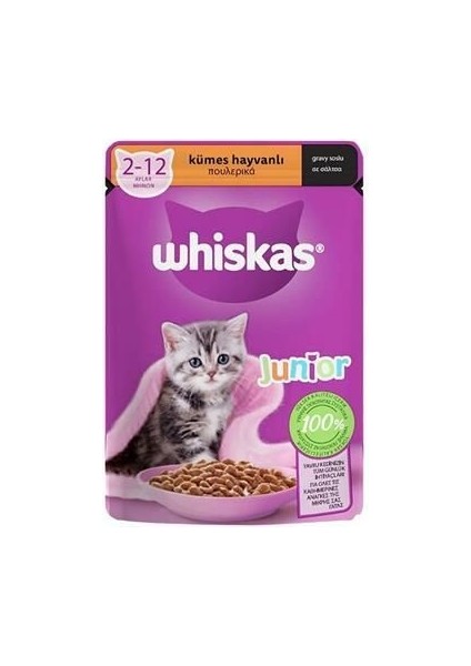 Whiskas Jöleli Kümes Hayvanlı Yavru Konserve Kedi Maması 85 gr