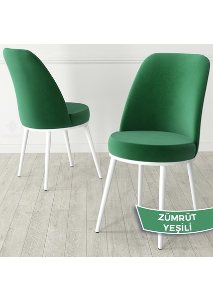 Concept Kea Serisi Yuvarlak Beyaz Mutfak Masa Takımı ve 4 Babyface Sandalye modelleri