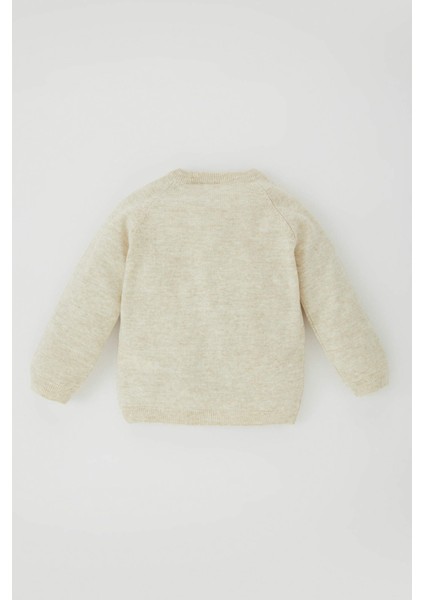 Erkek Bebek Bisiklet Yaka Düğmeli Triko Hırka A3833A523AU indirimleri