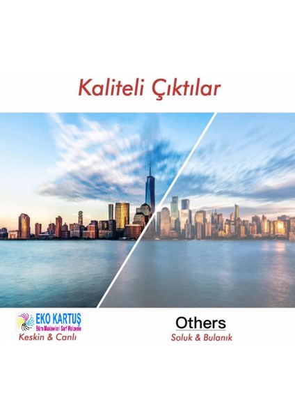 Canon MG2550 Uyumlu Gıda Mürekkebi 4 Renk fırsatları