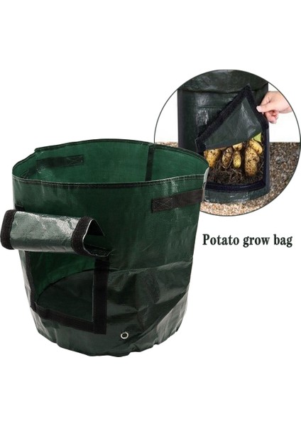 5pcs 1 Kap Sağlam (Yurt Dışından) modelleri