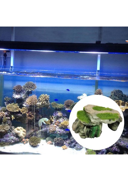 Yenilik Yapay Kaplumbağa Gizle Reçine Malzemesi Mağara Balık Tankı Süsü Aqurium I (Yurt Dışından)