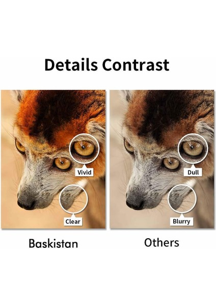 Canon Pixma IP8750 Mürekkep Seti 5X100 ml (Muadil) fırsatları