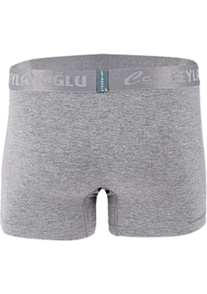 Erkek Likralı Boxer 034 (3 Paket) - Gri - Xxl