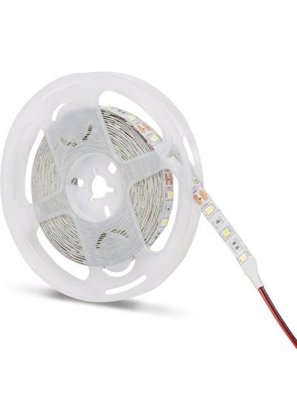 12 Volt 4040 İç Mekan Şerit LED 3200K Günışığı - 5 Metre Paket