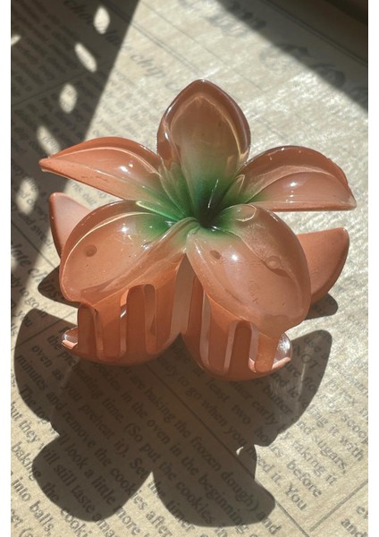 Lotus Büyük Mandak Toka Somon SBT1630