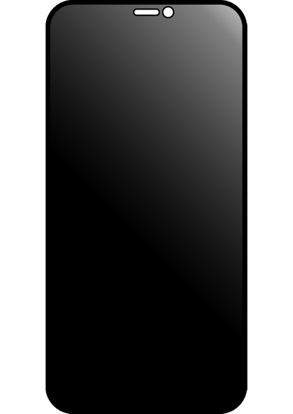 iPhone 12 Pro Max Esd Anti Static Hayalet Privacy Cam Ekran Koruyucu