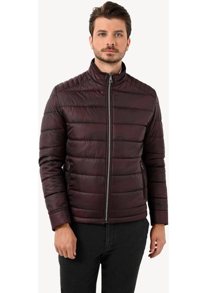 Erkek Bordo Regular Fit Kaban