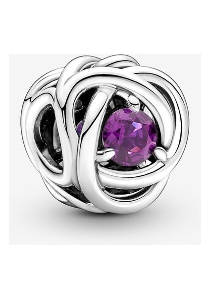 790065C02-MOR Sonsuzluk Sarmalı Charm