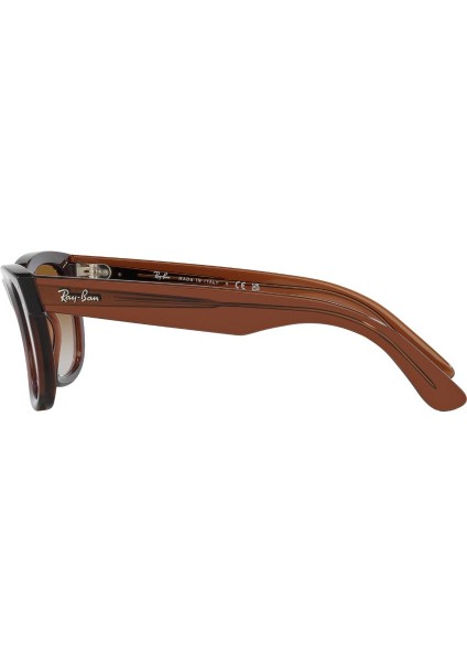 0RBR0502S 6709CB 50 Erkek Güneş Gözlüğü indirimleri