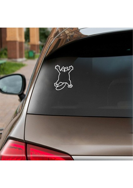 Komik Kedi Araba Sticker Beyaz 14X19 cm fiyatları
