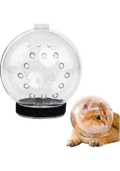 Kedi Bakım ve Koruma Küresi fiyatları