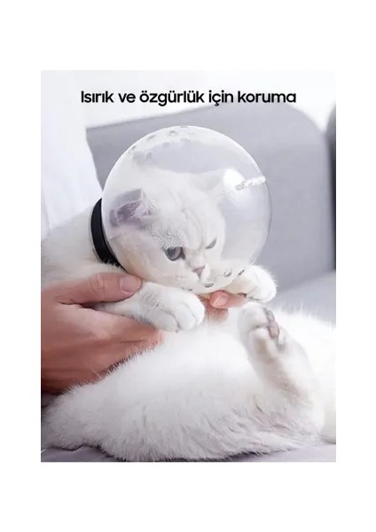 Kedi Bakım ve Koruma Küresi modelleri