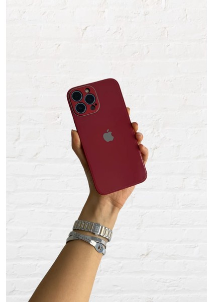 Meri Case Iphone 12 Pro Uyumlu Kamera Korumalı Logolu Cam Kılıf Arka Kapak