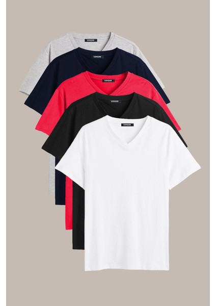 Erkek Çok Renkli T- Shirt Regular Fit Rahat Kesim V Yaka 5'li Basic Tişört Paketi