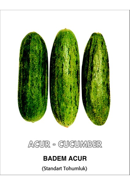 Acur Tohumu Badem - Tüylü 10 G. (~ Takribi 160 Tohum) modelleri
