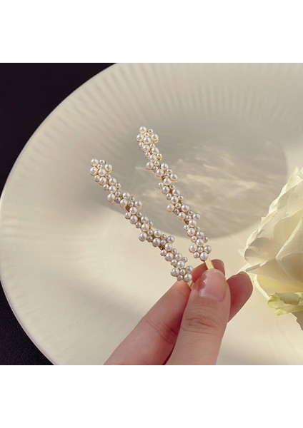 1 Inci Saç Tokası Alaşımlı Yan Klips Saç Tokası (Yurt Dışından) fiyatları