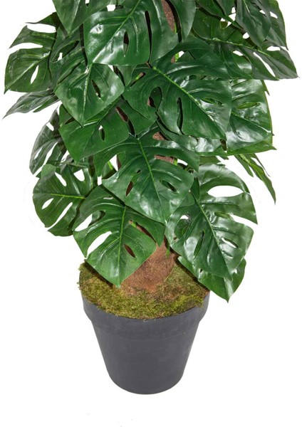 Güleç Yapay Çiçek Yapay Ağaç Deve Tabanı (Monstera) 150 cm