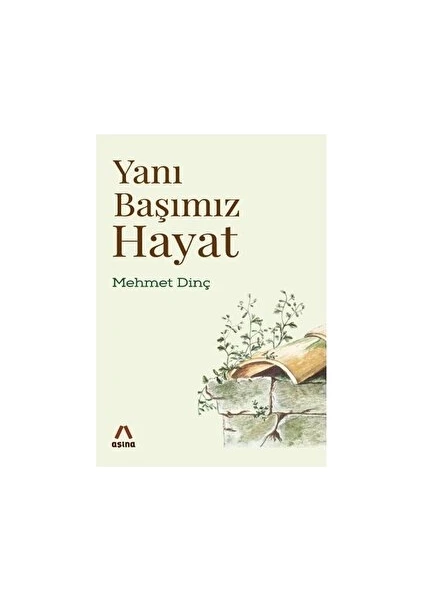 Yanı Başımız Hayat - Mehmet Dinç