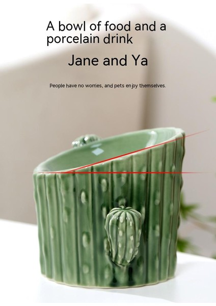 Seramik Servikal Koruma Yüksek Ayaklı Kedi Kasesi (Yurt Dışından) modelleri