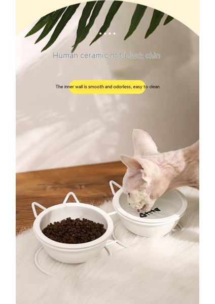 Servikal Omurgayı Korumak Için Çift Kaseli Seramik Kedi Maması Kasesi (Yurt Dışından) fırsatları
