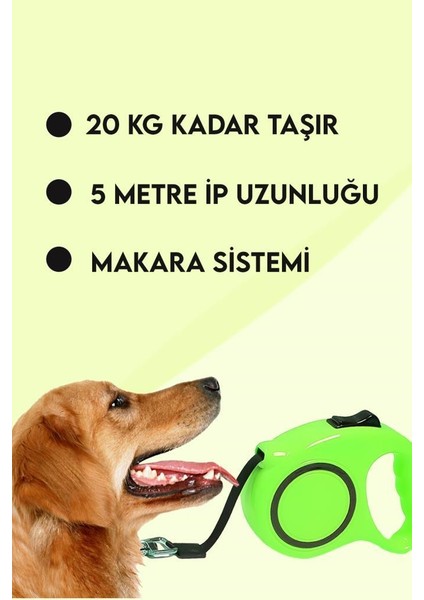 Makaralı Otomatik Köpek Tasması 5 Metre 1 Adet Yeşil